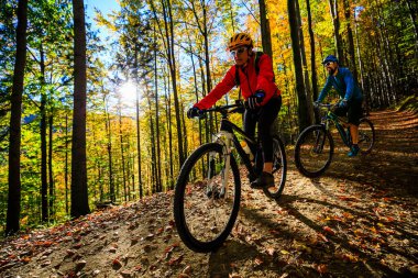 Sonbahar ormanında bisiklet parkurunda bisiklet süren bir kadın. Sonbahar manzara ormanlarında dağ bisikleti. MTB yokuşu tırmanan kadın.