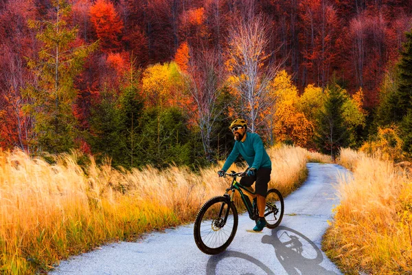 Велосипедист Велосипеде Закате Горы Лесной Пейзаж Цикл Mtb Эндуро Трасса — стоковое фото