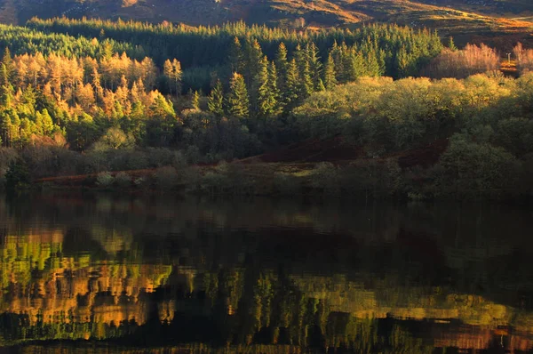 Sonbahar forrest yansıma Loch Ness