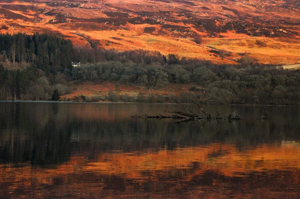 Highlands scozzesi in autunno e riflessione forestale — Foto Stock