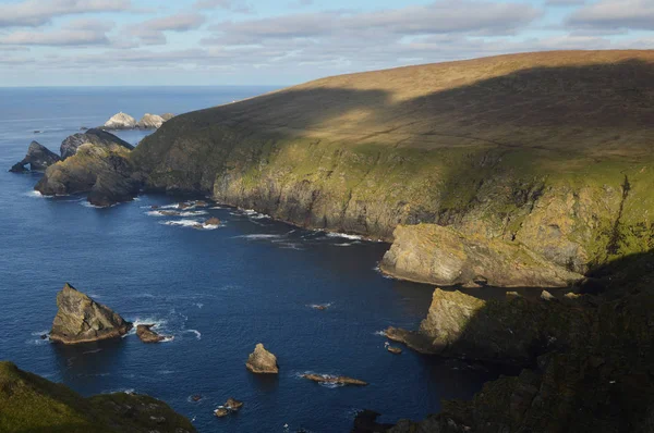 Hermaness tabiatı Unst, Shetland en Kuzey ada üzerinde güzel bir güneşli gün