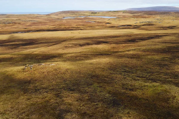 Otlaklar yakın Eshaness uçurumlar, Shetland Adaları