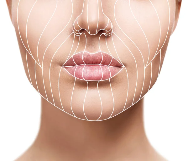 Lignes graphiques montrant l'effet lifting facial sur la peau . — Photo