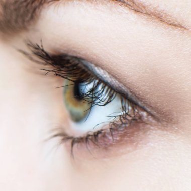 Yeşil gözün yakın plan görüntüsü yan tarafa bakıyor..