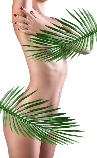 完璧な裸の女性の体に覆われたヤシの葉 — ストック写真