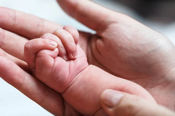 Female hand holding newborn babys hand. — Stock Photo, Image
