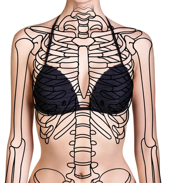 Young woman with paint skeleton on her body. — Stock Image Young woman with paint skeleton on her body. Stock Photo
