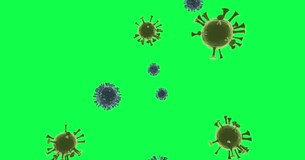 Células del Coronavirus. Animación de renderizado 3D . — Vídeo de stock