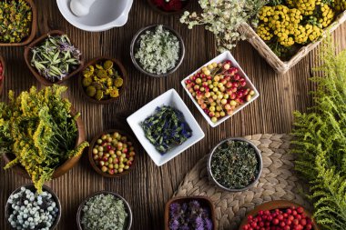 Doğal Tıp kavramı