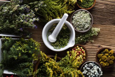 Doğal Tıp kavramı