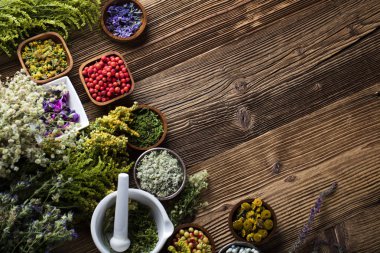 Doğal Tıp kavramı