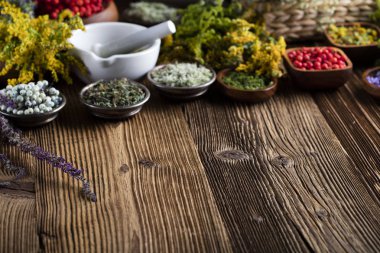 Doğal Tıp kavramı