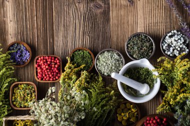 Doğal Tıp kavramı