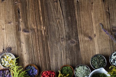 Doğal Tıp kavramı