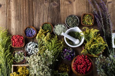 Doğal Tıp kavramı