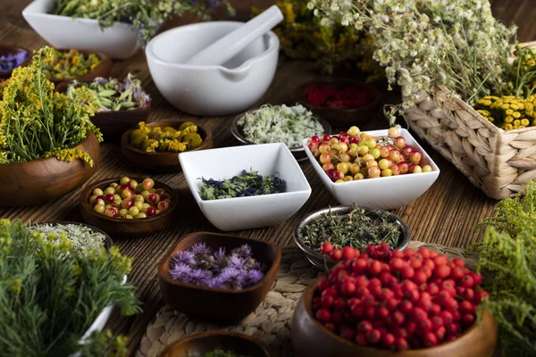 Conceito de medicina natural — Fotografia de Stock