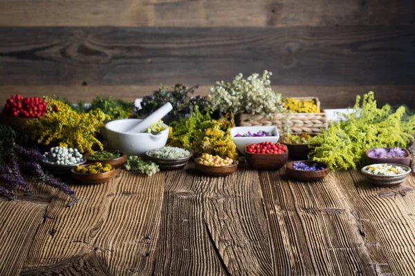 Conceito de medicina natural — Fotografia de Stock