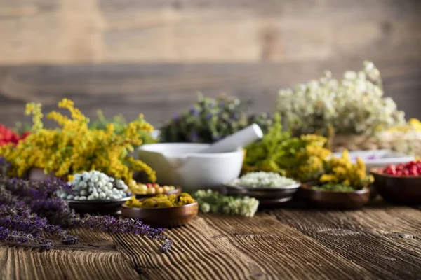 Conceito de medicina natural — Fotografia de Stock