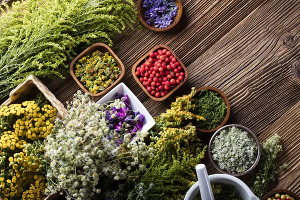 Conceito de medicina natural — Fotografia de Stock