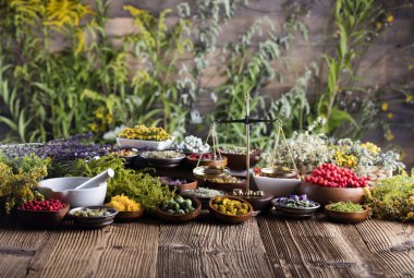 Doğal Tıp kavramı