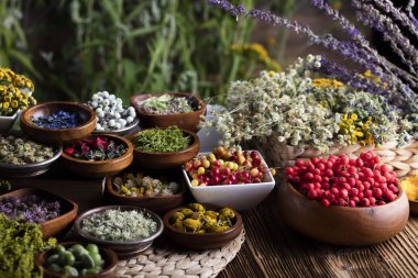 Doğal Tıp kavramı