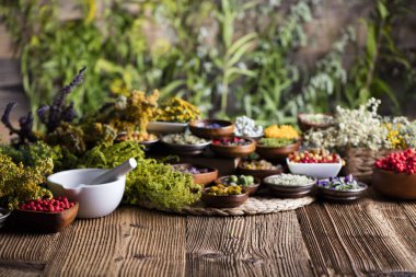 Doğal Tıp kavramı