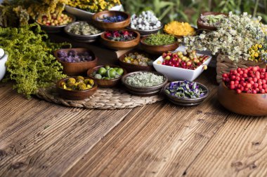 Doğal Tıp kavramı