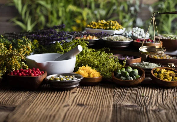 Concepto de Medicina Natural — Foto de Stock