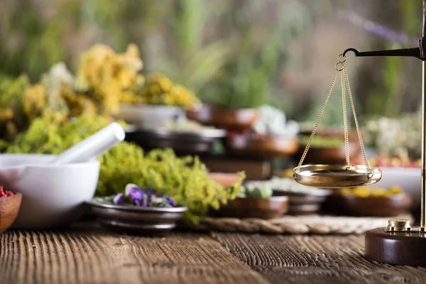 Conceito de medicina natural — Fotografia de Stock