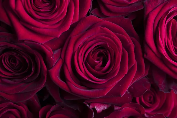 五彩缤纷的玫瑰束 — 图库照片