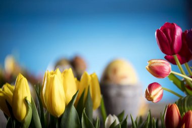 Paskalya Tema. Lale buketi. Paskalya yumurtaları. 