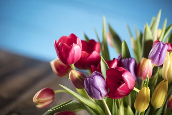 Easter theme. Bouquet of tulips. — Stock Photo, Image