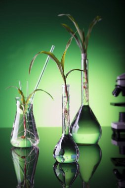 Biyoteknoloji ve çiçek bilim Tema. 