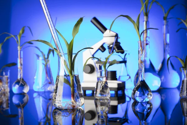 Tema Biotecnología y ciencias florales . — Foto de Stock