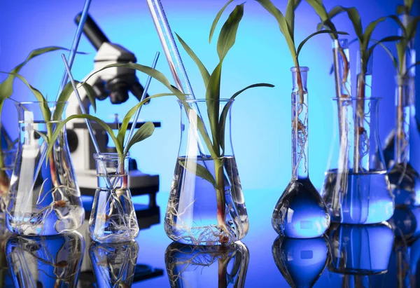 Biotechnologia i nauki kwiatowy motyw. — Zdjęcie stockowe