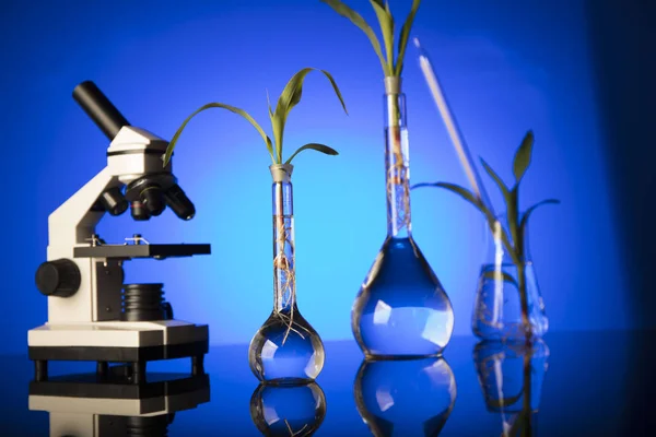 Biotechnology and floral science theme. — Stock Photo, Image