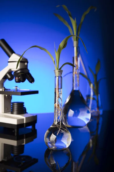 Biotechnology and floral science theme. — Stock Photo, Image