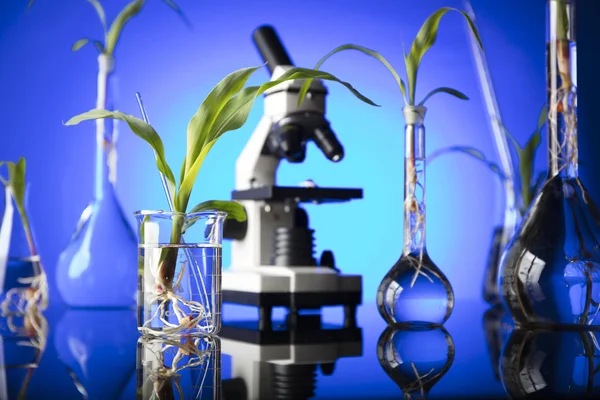 Biotechnology and floral science theme. — Stock Photo, Image