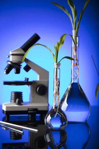 Biotechnology and floral science theme. — Stock Photo, Image