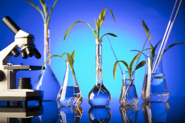 Biotechnologie a květinové vědy téma. — Stock fotografie