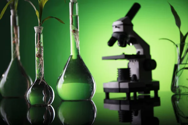 Biotechnológia és virágos tudományos téma. — Stock Fotó