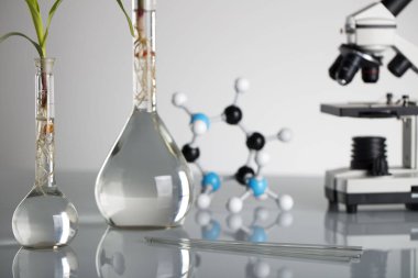 Biotechnolgy kavramı. Laboratuvar deneyleri.