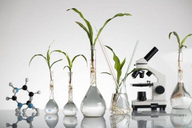 Biotechnolgy kavramı. Laboratuvar deneyleri.