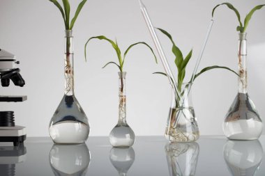 Biotechnolgy kavramı. Laboratuvar deneyleri.