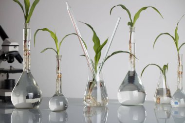 Biotechnolgy kavramı. Laboratuvar deneyleri.