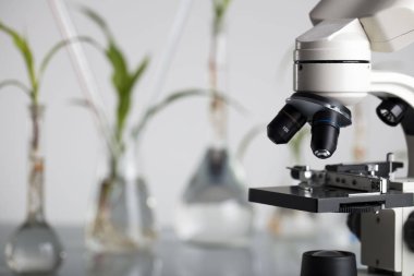 Biotechnolgy kavramı. Laboratuvar deneyleri.