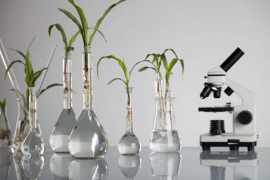 Biotechnolgy kavramı. Laboratuvar deneyleri.