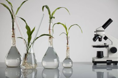 Biotechnolgy kavramı. Laboratuvar deneyleri.