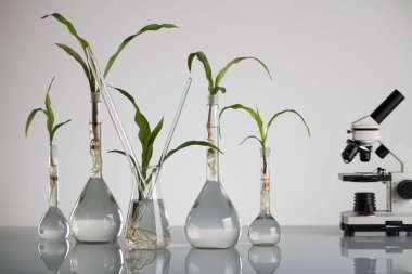 Biotechnolgy kavramı. Laboratuvar deneyleri.