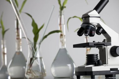 Biotechnolgy kavramı. Laboratuvar deneyleri.